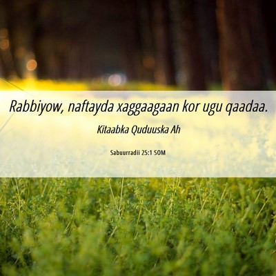 Picture 06 - Sabuurradii 25:1 SOM - Rabbiyow, naftayda xaggaagaan kor ugu - Bible Verse Picture