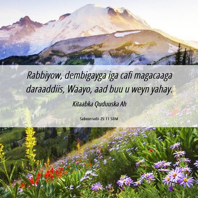 Picture 06 - Sabuurradii 25:11 SOM - Rabbiyow, dembigayga iga cafi magacaaga - Bible Verse Picture