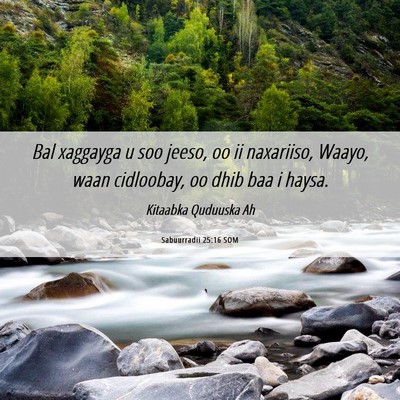 Picture 06 - Sabuurradii 25:16 SOM - Bal xaggayga u soo jeeso, oo ii naxariiso, Waayo, - Bible Verse Picture