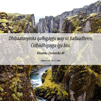 Picture 06 - Sabuurradii 25:17 SOM - Dhibaatooyinka qalbigaygu way sii ballaadheen, - Bible Verse Picture