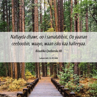 Picture 06 - Sabuurradii 25:20 SOM - Naftayda dhawr, oo i samatabbixi, Oo yaanan - Bible Verse Picture