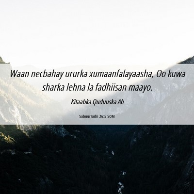Picture 06 - Sabuurradii 26:5 SOM - Waan necbahay ururka xumaanfalayaasha, Oo kuwa - Bible Verse Picture