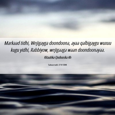 Picture 06 - Sabuurradii 27:8 SOM - Markaad tidhi, Wejigayga doondoona, ayaa - Bible Verse Picture