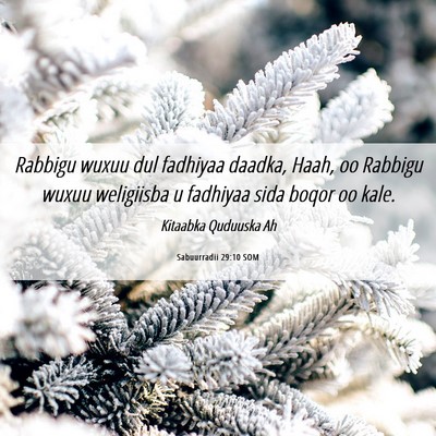 Picture 06 - Sabuurradii 29:10 SOM - Rabbigu wuxuu dul fadhiyaa daadka, Haah, oo - Bible Verse Picture