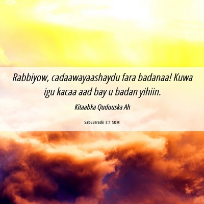 Picture 06 - Sabuurradii 3:1 SOM - Rabbiyow, cadaawayaashaydu fara badanaa! Kuwa igu - Bible Verse Picture