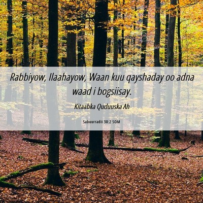 Picture 06 - Sabuurradii 30:2 SOM - Rabbiyow, Ilaahayow, Waan kuu qayshaday oo adna - Bible Verse Picture