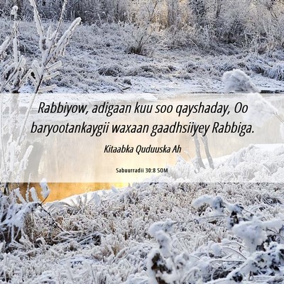 Picture 06 - Sabuurradii 30:8 SOM - Rabbiyow, adigaan kuu soo qayshaday, Oo - Bible Verse Picture