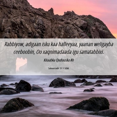 Picture 06 - Sabuurradii 31:1 SOM - Rabbiyow, adigaan isku kaa halleeyaa, yaanan - Bible Verse Picture