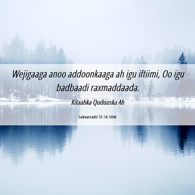 Picture 06 - Sabuurradii 31:16 SOM - Wejigaaga anoo addoonkaaga ah igu iftiimi, Oo igu - Bible Verse Picture