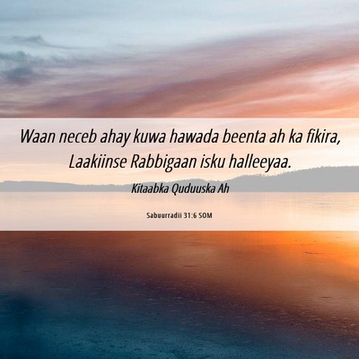 Picture 06 - Sabuurradii 31:6 SOM - Waan neceb ahay kuwa hawada beenta ah ka fikira, - Bible Verse Picture