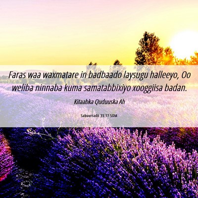 Picture 06 - Sabuurradii 33:17 SOM - Faras waa waxmatare in badbaado laysugu halleeyo, - Bible Verse Picture