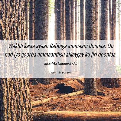 Picture 06 - Sabuurradii 34:1 SOM - Wakhti kasta ayaan Rabbiga ammaani doonaa, Oo had - Bible Verse Picture