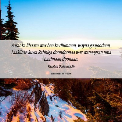 Picture 06 - Sabuurradii 34:10 SOM - Aaranka libaaxa wax baa ka dhimman, wayna - Bible Verse Picture
