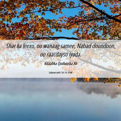 Picture 06 - Sabuurradii 34:14 SOM - Shar ka leexo, oo wanaag samee, Nabad doondoon, - Bible Verse Picture