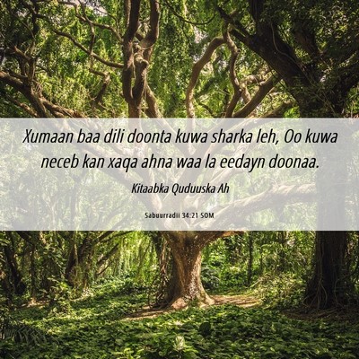 Picture 06 - Sabuurradii 34:21 SOM - Xumaan baa dili doonta kuwa sharka leh, Oo kuwa - Bible Verse Picture