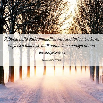Picture 06 - Sabuurradii 34:22 SOM - Rabbigu nafta addoommadiisa wuu soo furtaa, Oo - Bible Verse Picture