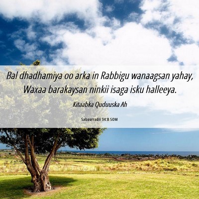 Picture 06 - Sabuurradii 34:8 SOM - Bal dhadhamiya oo arka in Rabbigu wanaagsan - Bible Verse Picture