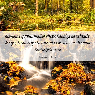 Picture 06 - Sabuurradii 34:9 SOM - Kuwiinna quduusiintiisa ahow; Rabbiga ka cabsada, - Bible Verse Picture