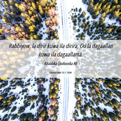 Picture 06 - Sabuurradii 35:1 SOM - Rabbiyow, la dirir kuwa ila dirira, Oo la - Bible Verse Picture