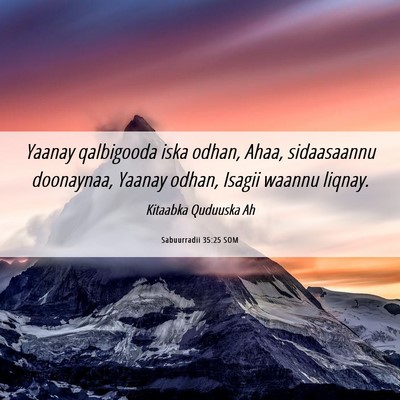 Picture 06 - Sabuurradii 35:25 SOM - Yaanay qalbigooda iska odhan, Ahaa, sidaasaannu - Bible Verse Picture