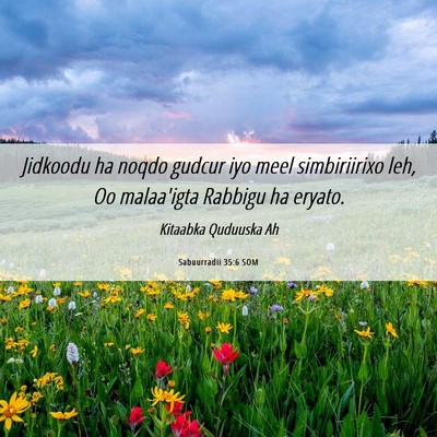 Picture 06 - Sabuurradii 35:6 SOM - Jidkoodu ha noqdo gudcur iyo meel simbiriirixo - Bible Verse Picture