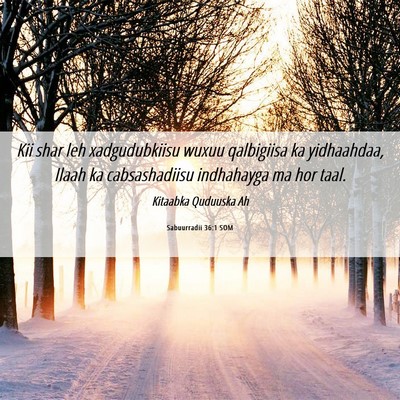 Picture 06 - Sabuurradii 36:1 SOM - Kii shar leh xadgudubkiisu wuxuu qalbigiisa ka - Bible Verse Picture