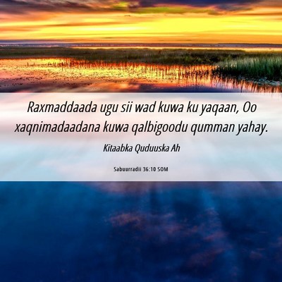Picture 06 - Sabuurradii 36:10 SOM - Raxmaddaada ugu sii wad kuwa ku yaqaan, Oo - Bible Verse Picture