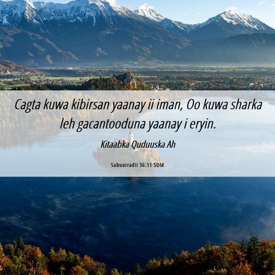 Picture 06 - Sabuurradii 36:11 SOM - Cagta kuwa kibirsan yaanay ii iman, Oo kuwa - Bible Verse Picture