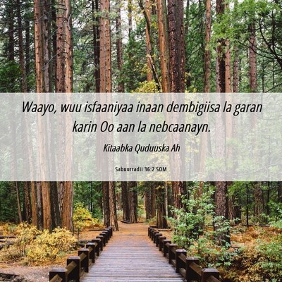 Picture 06 - Sabuurradii 36:2 SOM - Waayo, wuu isfaaniyaa inaan dembigiisa la garan - Bible Verse Picture