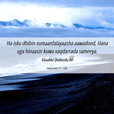 Picture 06 - Sabuurradii 37:1 SOM - Ha isku dhibin xumaanfalayaasha aawadood, Hana - Bible Verse Picture