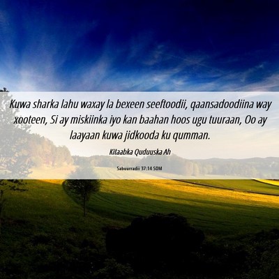 Picture 06 - Sabuurradii 37:14 SOM - Kuwa sharka lahu waxay la bexeen seeftoodii, - Bible Verse Picture