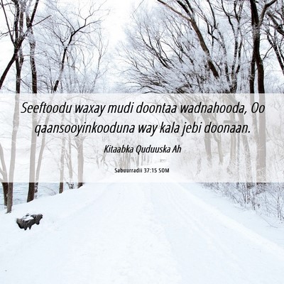 Picture 06 - Sabuurradii 37:15 SOM - Seeftoodu waxay mudi doontaa wadnahooda, Oo - Bible Verse Picture