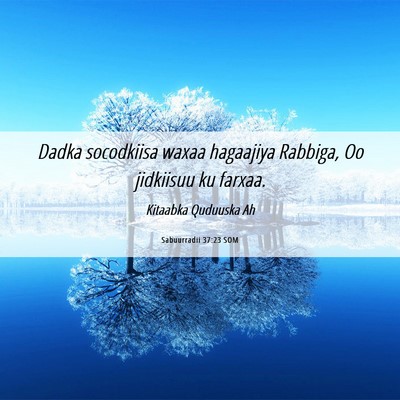 Picture 06 - Sabuurradii 37:23 SOM - Dadka socodkiisa waxaa hagaajiya Rabbiga, Oo - Bible Verse Picture