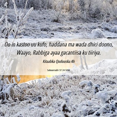 Picture 06 - Sabuurradii 37:24 SOM - Oo in kastoo uu kufo, haddana ma wada dhici - Bible Verse Picture