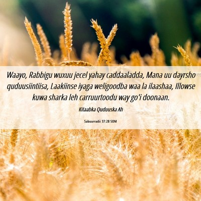 Picture 06 - Sabuurradii 37:28 SOM - Waayo, Rabbigu wuxuu jecel yahay caddaaladda, - Bible Verse Picture