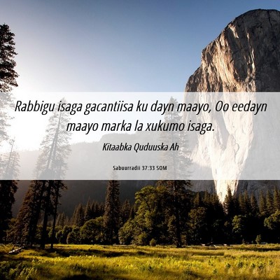 Picture 06 - Sabuurradii 37:33 SOM - Rabbigu isaga gacantiisa ku dayn maayo, Oo eedayn - Bible Verse Picture