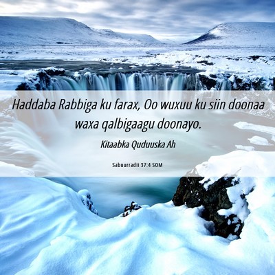 Picture 06 - Sabuurradii 37:4 SOM - Haddaba Rabbiga ku farax, Oo wuxuu ku siin doonaa - Bible Verse Picture