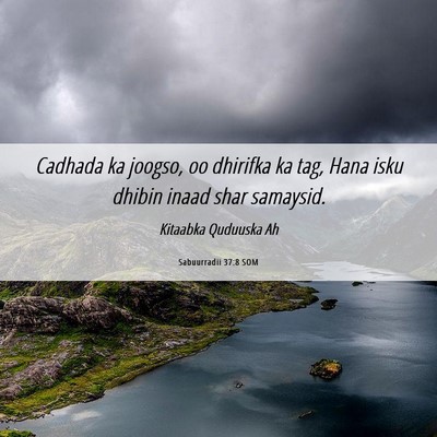 Picture 06 - Sabuurradii 37:8 SOM - Cadhada ka joogso, oo dhirifka ka tag, Hana isku - Bible Verse Picture