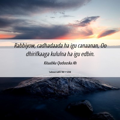 Picture 06 - Sabuurradii 38:1 SOM - Rabbiyow, cadhadaada ha igu canaanan, Oo - Bible Verse Picture