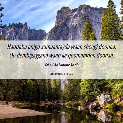 Picture 06 - Sabuurradii 38:18 SOM - Haddaba anigu xumaantayda waan sheegi doonaa, Oo - Bible Verse Picture