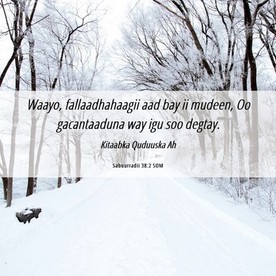Picture 06 - Sabuurradii 38:2 SOM - Waayo, fallaadhahaagii aad bay ii mudeen, Oo - Bible Verse Picture