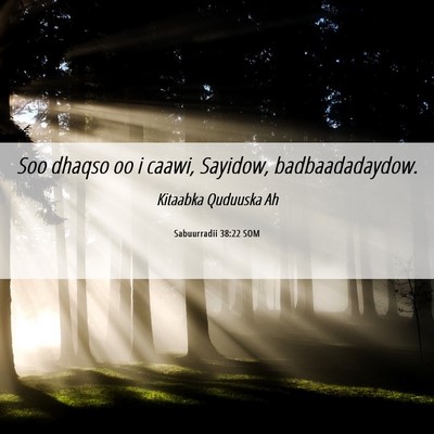 Picture 06 - Sabuurradii 38:22 SOM - Soo dhaqso oo i caawi, Sayidow, - Bible Verse Picture