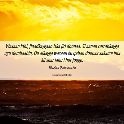Picture 06 - Sabuurradii 39:1 SOM - Waxaan idhi, Jidadkaygaan iska jiri doonaa, Si - Bible Verse Picture