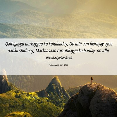 Picture 06 - Sabuurradii 39:3 SOM - Qalbigaygu uurkayguu ku kululaaday, Oo intii aan - Bible Verse Picture