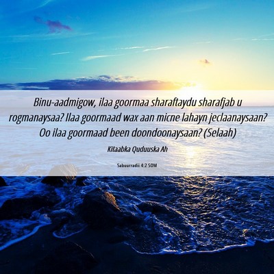 Picture 06 - Sabuurradii 4:2 SOM - Binu-aadmigow, ilaa goormaa sharaftaydu sharafjab - Bible Verse Picture