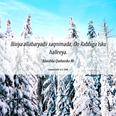 Picture 06 - Sabuurradii 4:5 SOM - Bixiya allabaryadii xaqnimada, Oo Rabbiga isku - Bible Verse Picture
