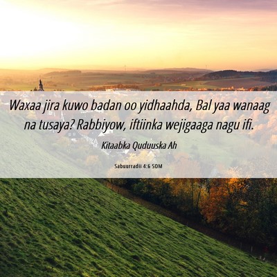 Picture 06 - Sabuurradii 4:6 SOM - Waxaa jira kuwo badan oo yidhaahda, Bal yaa - Bible Verse Picture