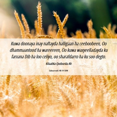 Picture 06 - Sabuurradii 40:14 SOM - Kuwa doonaya inay naftayda halligaan ha - Bible Verse Picture