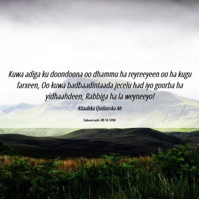 Picture 06 - Sabuurradii 40:16 SOM - Kuwa adiga ku doondoona oo dhammu ha reyreeyeen - Bible Verse Picture