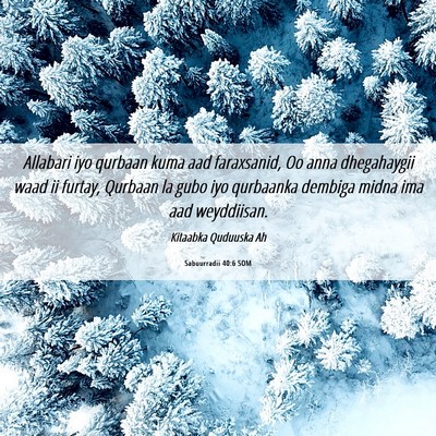 Picture 06 - Sabuurradii 40:6 SOM - Allabari iyo qurbaan kuma aad faraxsanid, Oo anna - Bible Verse Picture